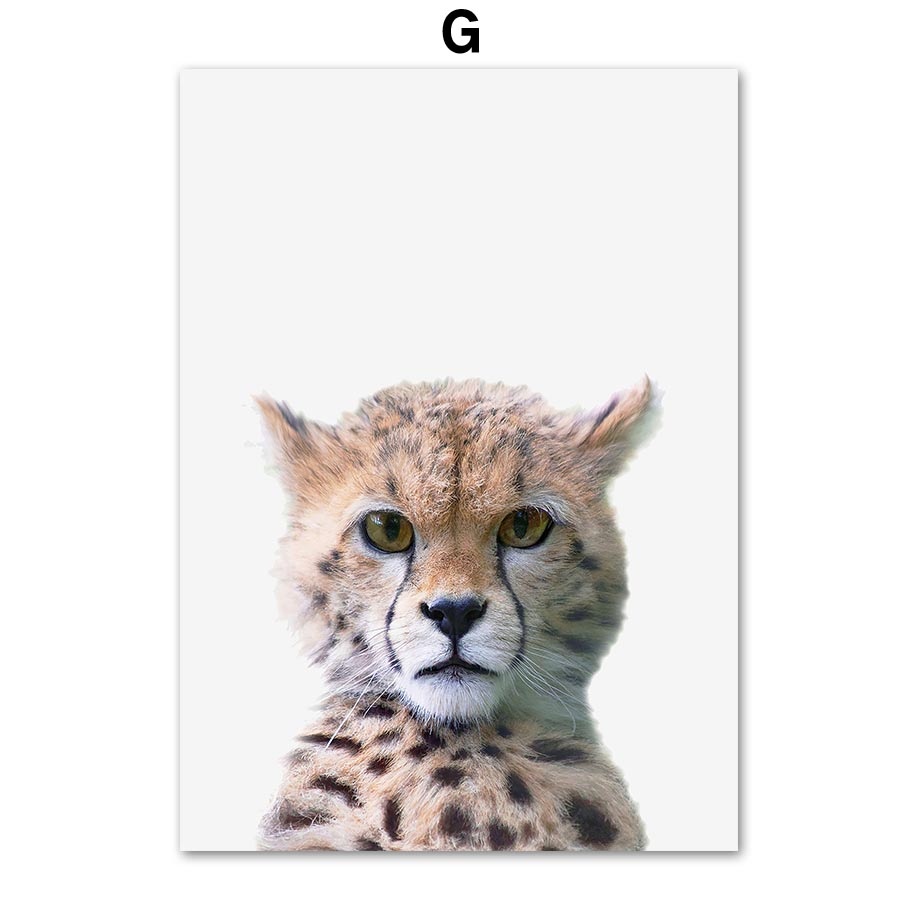 Baby Zoo Nursery - Baby Safari Animal Nursery Wall Art